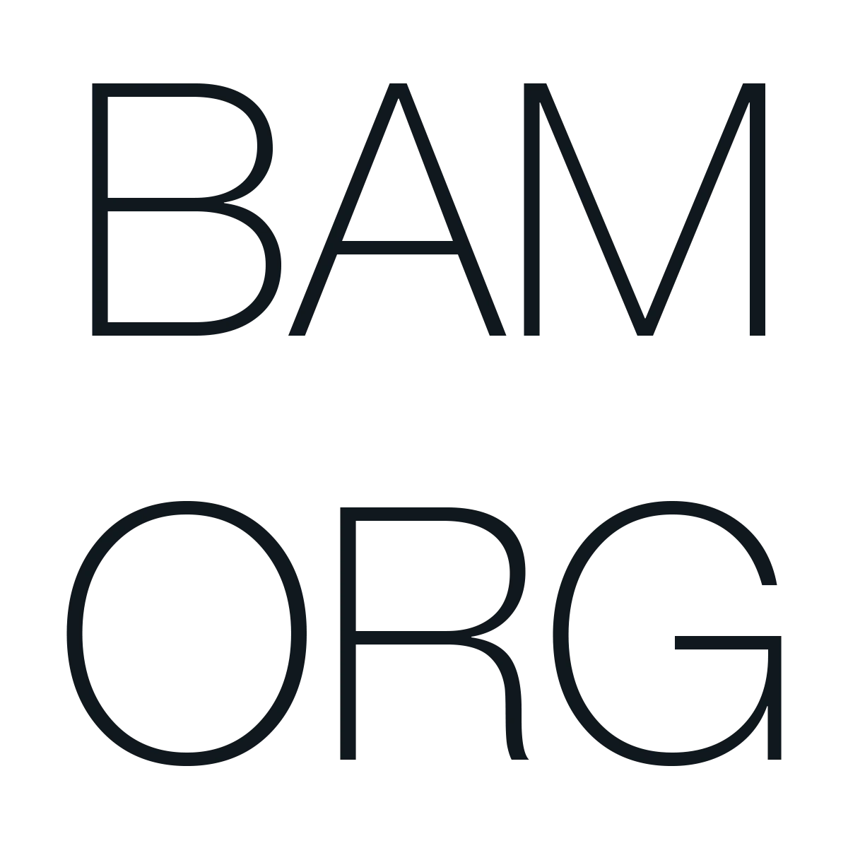 Bam Organization